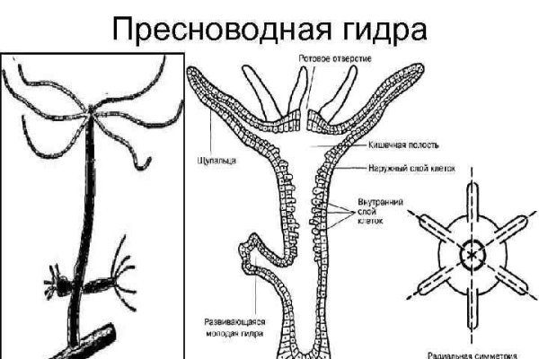 Где взять ссылку на кракен kraken014 com